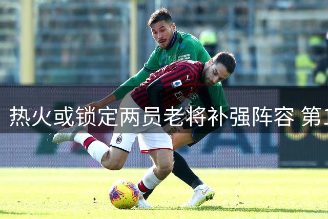 热火或锁定两员老将补强阵容 第14人候选引关注