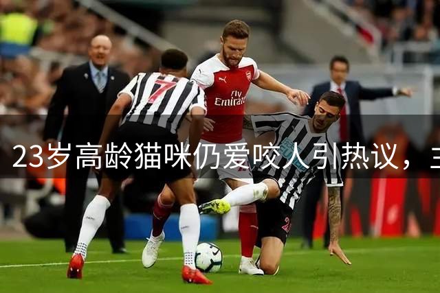 23岁高龄猫咪仍爱咬人引热议，主人被网友评论戳中泪点